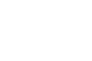 Hungry Howies Logo